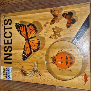 Vintage 60's How And Why Wonder Book - Insects